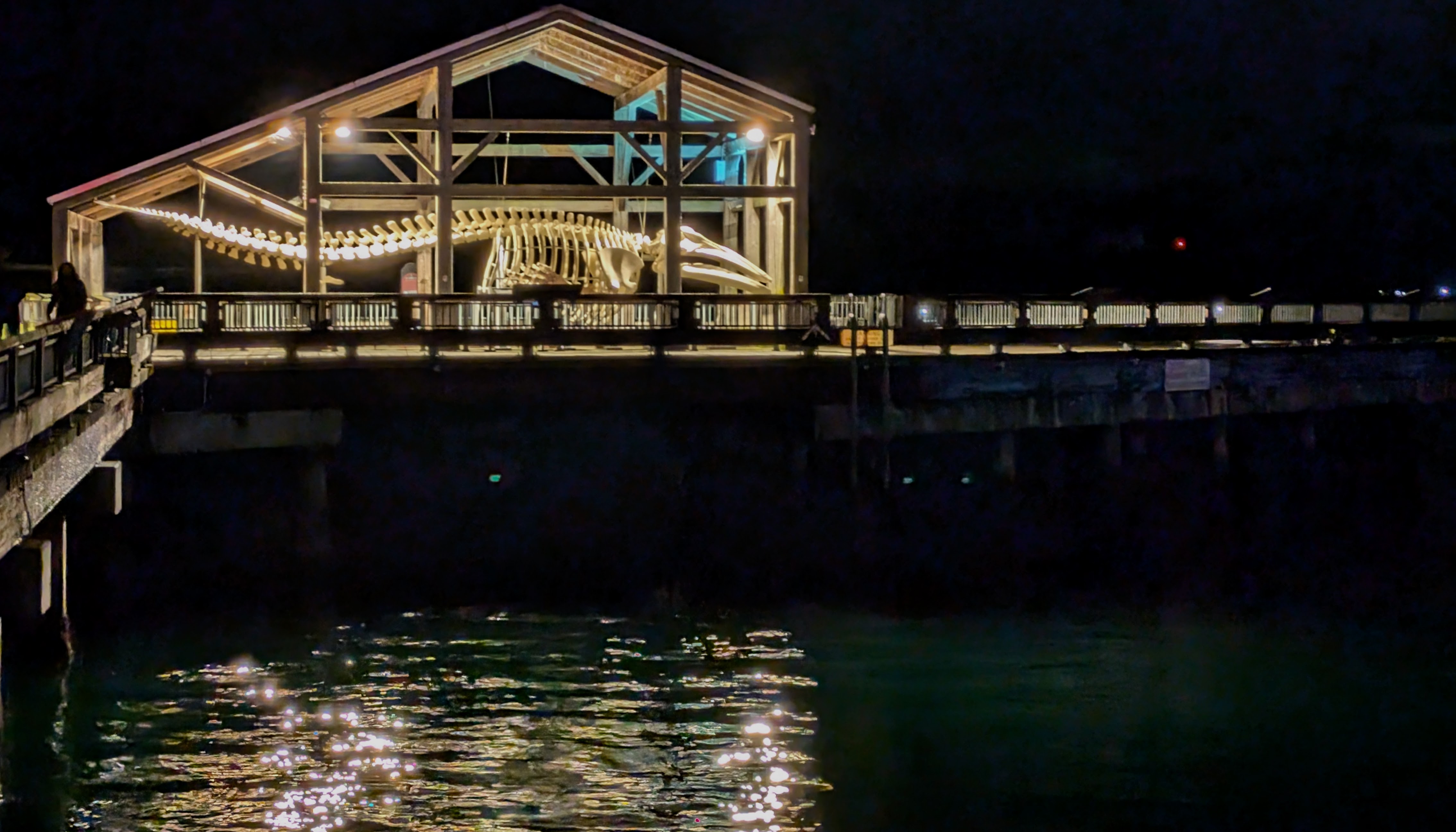 Marine Sciences